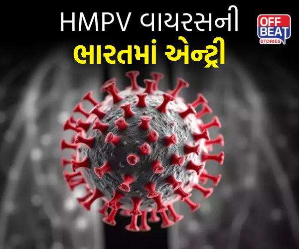 HMPV વાયરસની ભારતમાં એન્ટ્રી